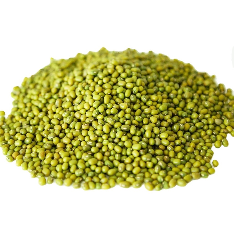 Mung Beans Medium Grains Vigna Beans The Northeast Export Mung Bean Wholesale Premium Quality Green Head Color Double Origin Gua