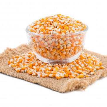 Wheat Bran for Animal Feeding / Corn / Grain