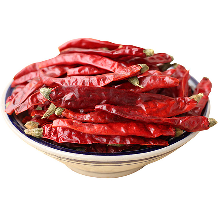 Wholesale High Quality Cheap Price FRESH RED CHILLI / DRIED CHILLI