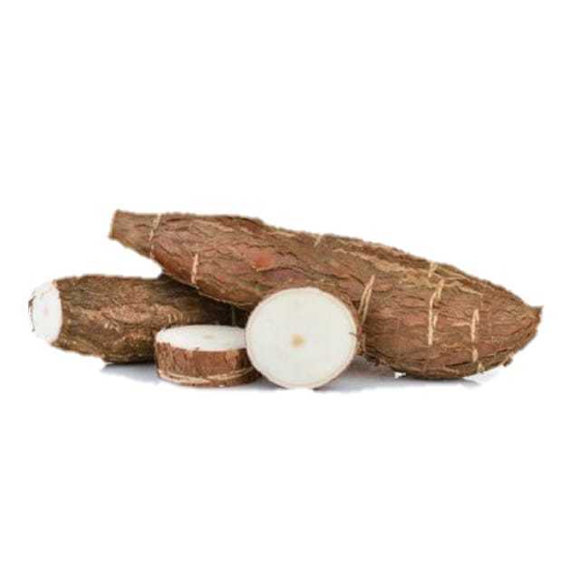 Fresh cassava/Fresh Cassava root - cassava - best price