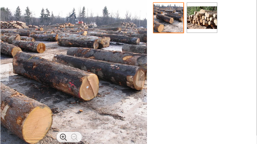 DOUGLAS FIR LOGS