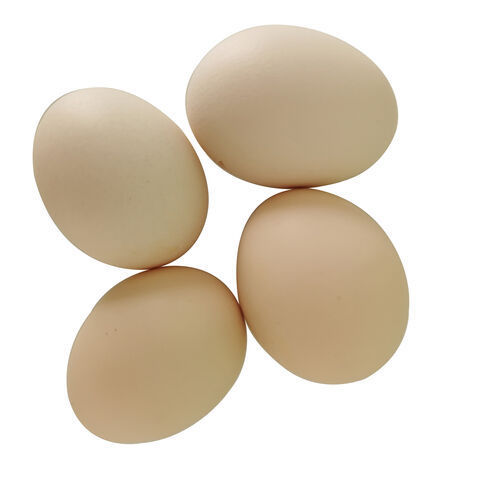 Fertilized Chicken Eggs/ Cobb 500 Broiler Chicken Eggs/Fresh Cobb 700 Fertile eggs Cheap Price