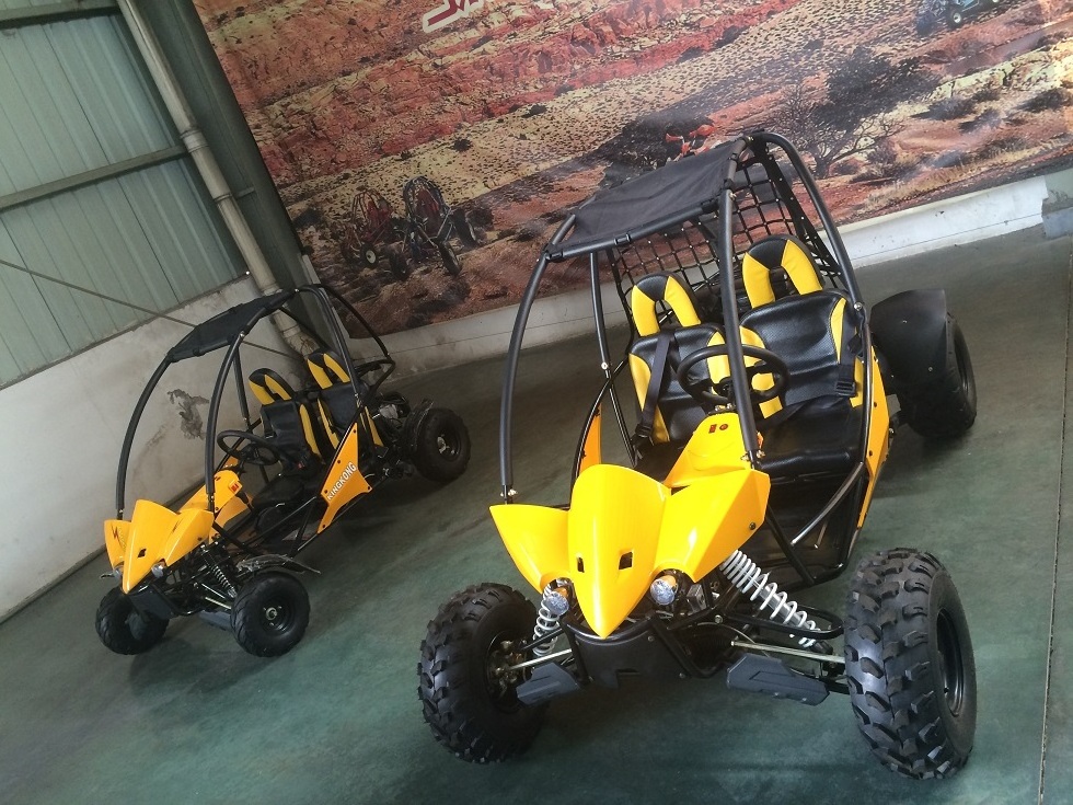 Used GO KARTS FOR Adult off road go kart beach buggy 200cc/150cc Whole Sale Ninebot-Go karts