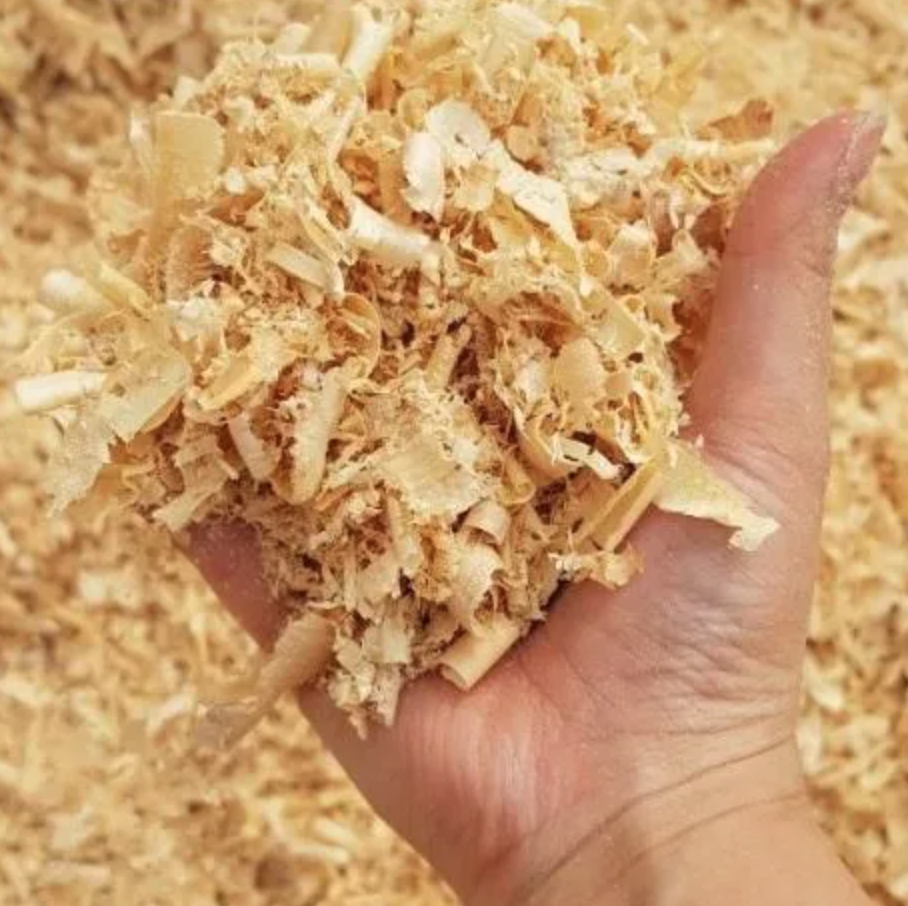 New Sawdust Aspen Wood Flakes Shaving for Hamster Small Pets