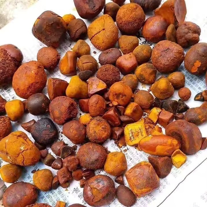 Pure Quality Dried Cow Ox Gallstones and Ox Gallstones Full and Broken for sale In wholesale Prices