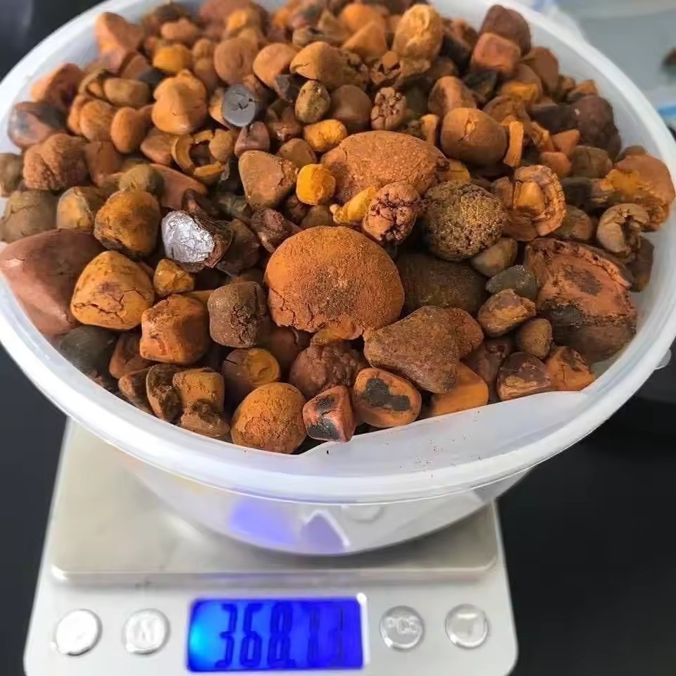 Pure Quality Dried Cow Ox Gallstones and Ox Gallstones Full and Broken for sale In wholesale Prices