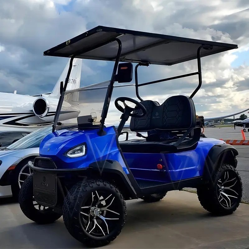 2 4 6 seater electric golf carts power golf cart with affordable  prices you'll find around here for now