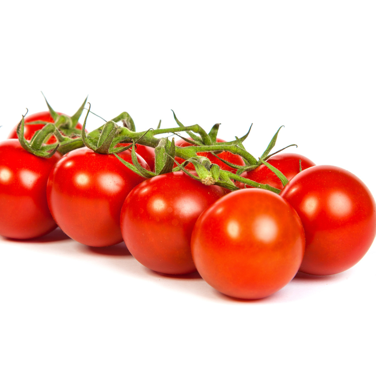 View larger image Add to Compare  Share Fresh Beef Tomato, Cherry Tomato, Fresh Plum Tomatoes available for Sale cheap price