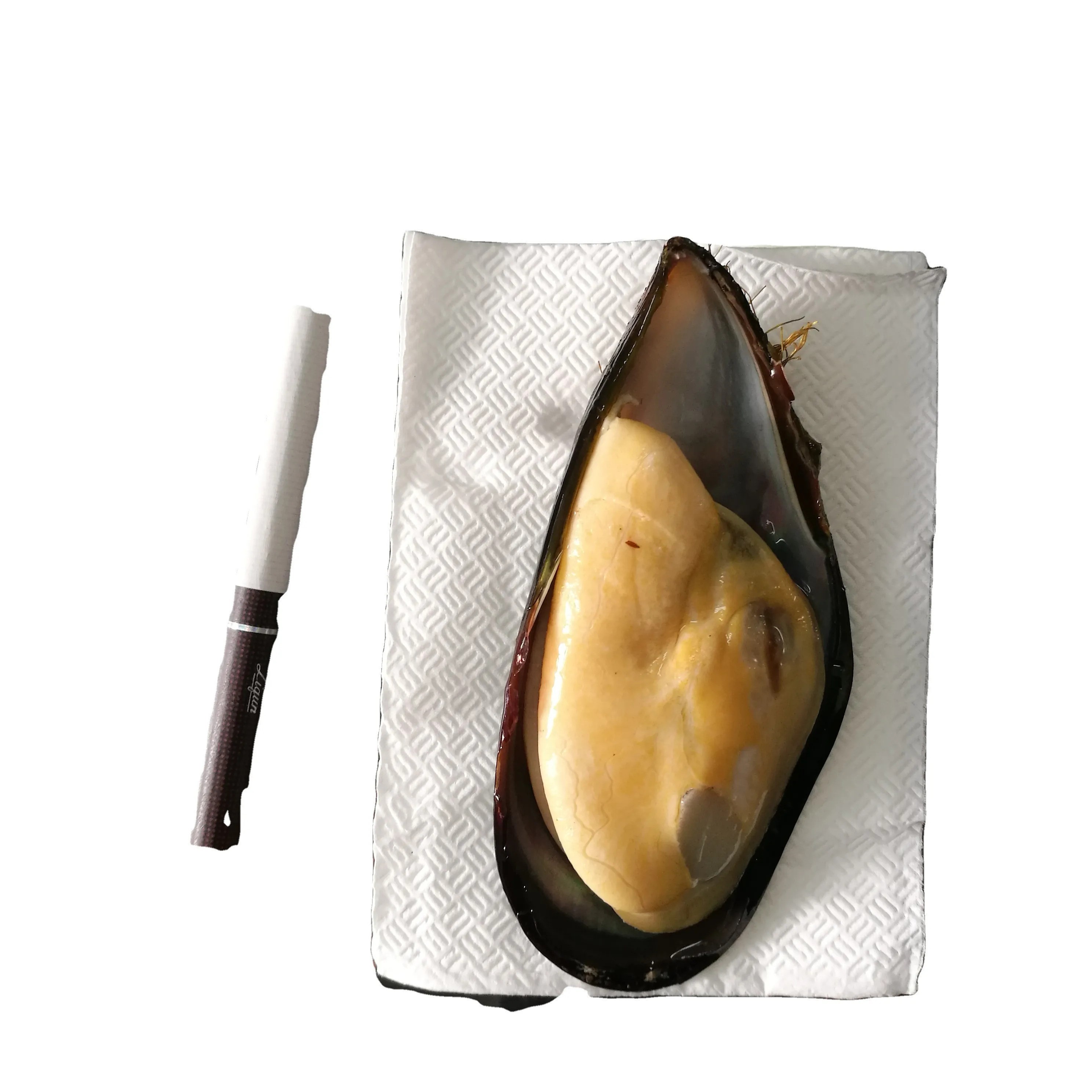 Frozen Shellfish In Season Frozen Mussels Meat Half Shell Detail Frozen Mussels Meat Mitch Half Shell