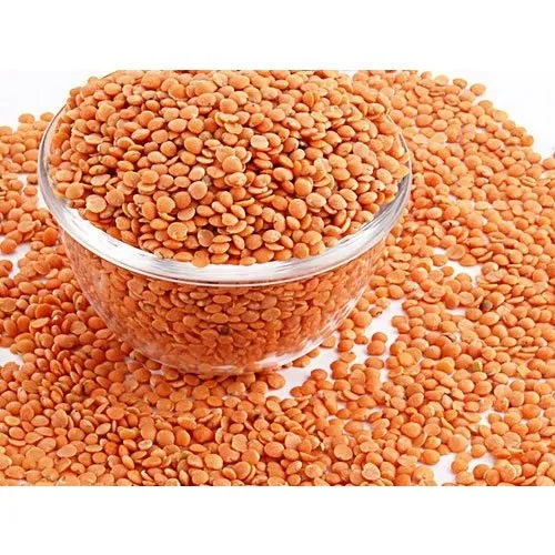 Bulk Organic Lentils Dries Red  and Green Lentils Whole sale Price