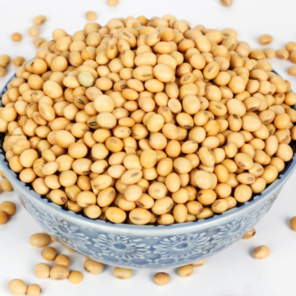 Hot selling cheap  Animal feed Soybean Meal whole sale price