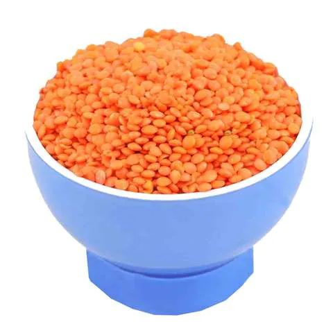 Bulk Organic Lentils Dries Red  and Green Lentils Whole sale Price