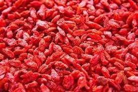 Hot discounts  Organic Natural Dried Goji berry wholesale price