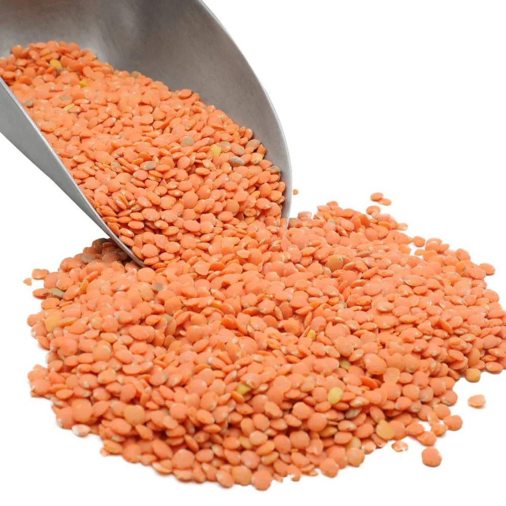 Bulk Organic Lentils Dries Red  and Green Lentils Whole sale Price