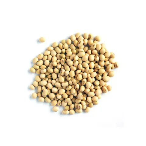 2024 Soybeans - Soybeans High Quality Non GMO Yellow Dry Soybean Seed NON-GMO Soya Beans /Soya Bean