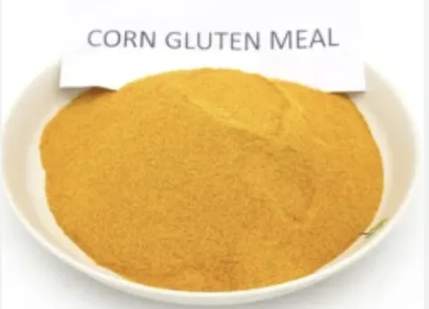 corn gluten meal 60% protein corn yellow corn powder for animal feed