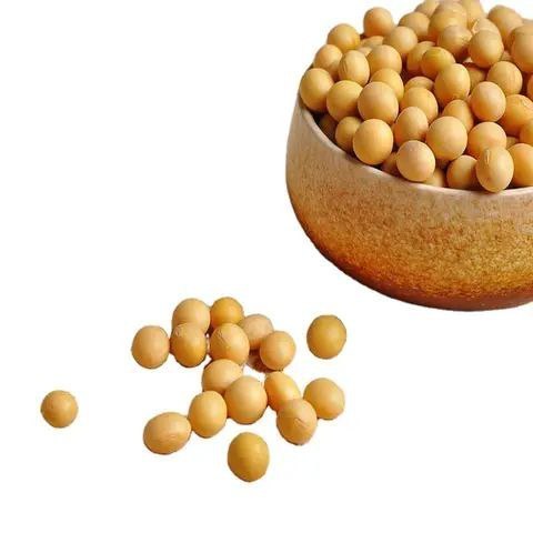 Hot sale Soya Beans Soy Bean 2023 Crop UK High Protein Yellow Soybean Soya Beans GMO/NON GMO