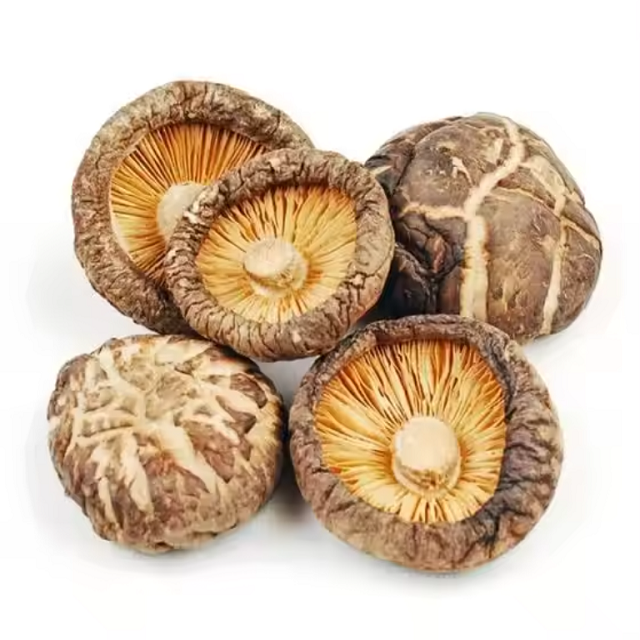 FRESH MUSHROOM CREATE DRIED MUSHROOM OR CANNED MUSHROOM