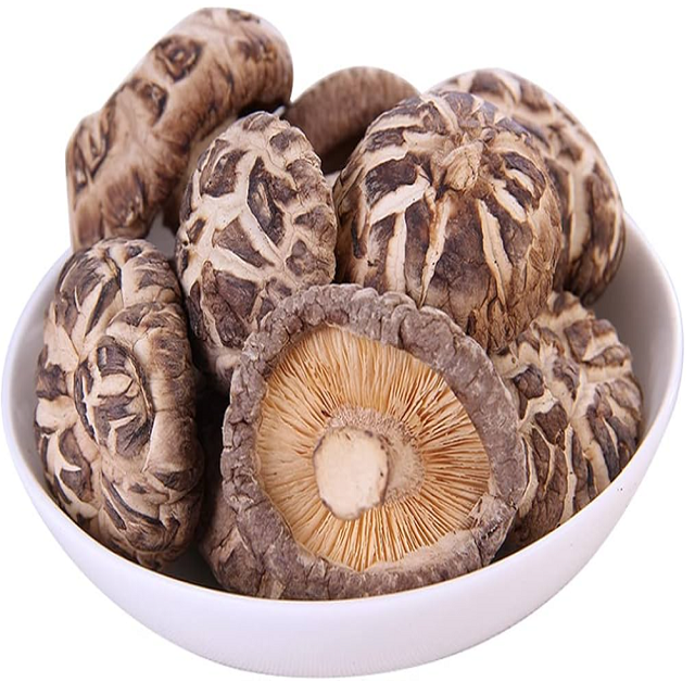 FRESH MUSHROOM CREATE DRIED MUSHROOM OR CANNED MUSHROOM