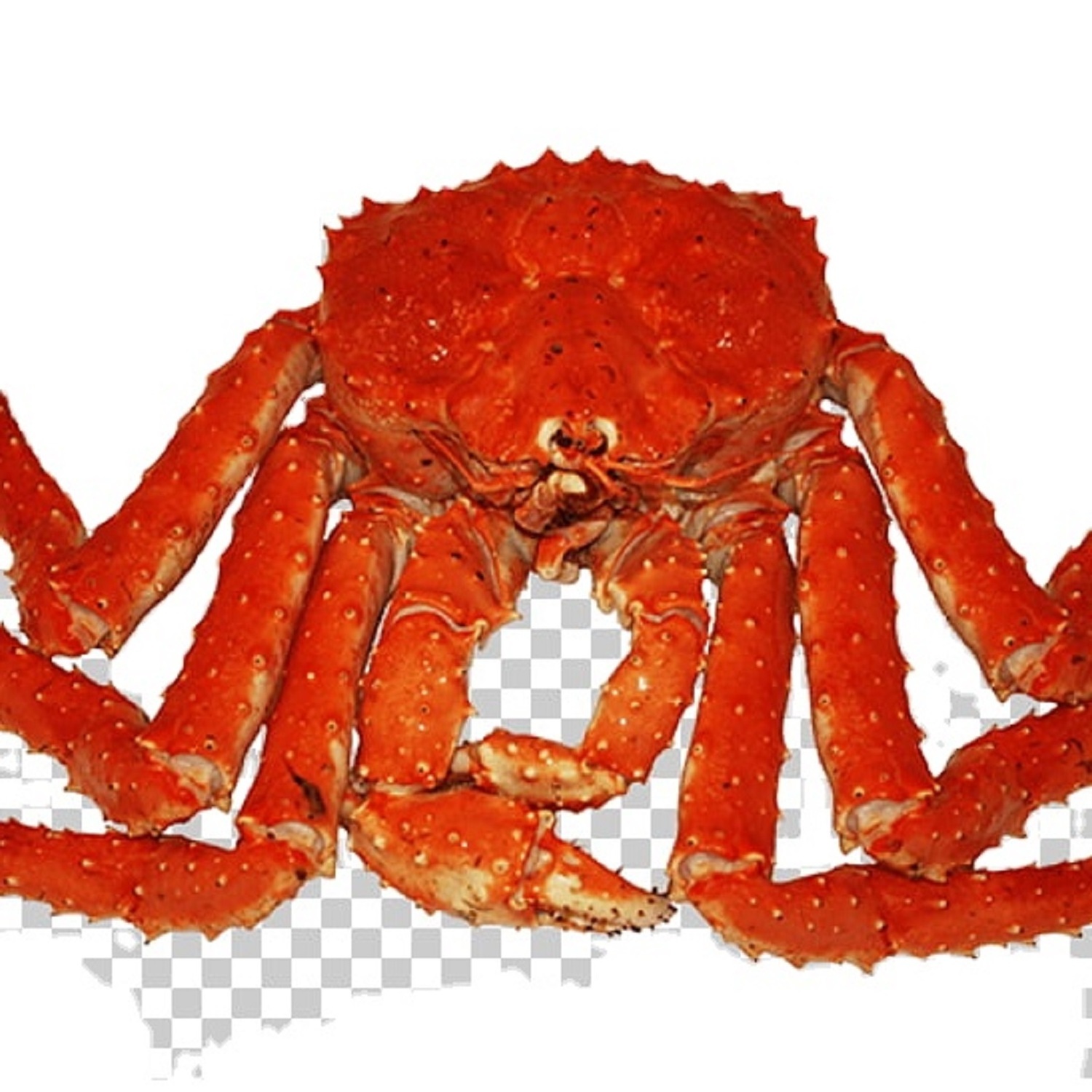 seafood fresh frozen red crab fresh frozen king crab frozen low price