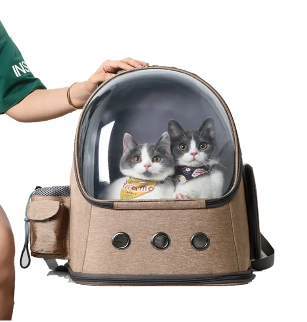 Capsule Airline Approved Bubble Pet Travel Carriers Small Dog Backpack Cat Bag