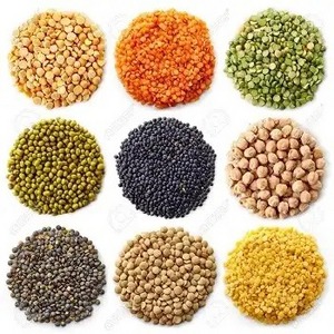 Whole Sale Price Lentils