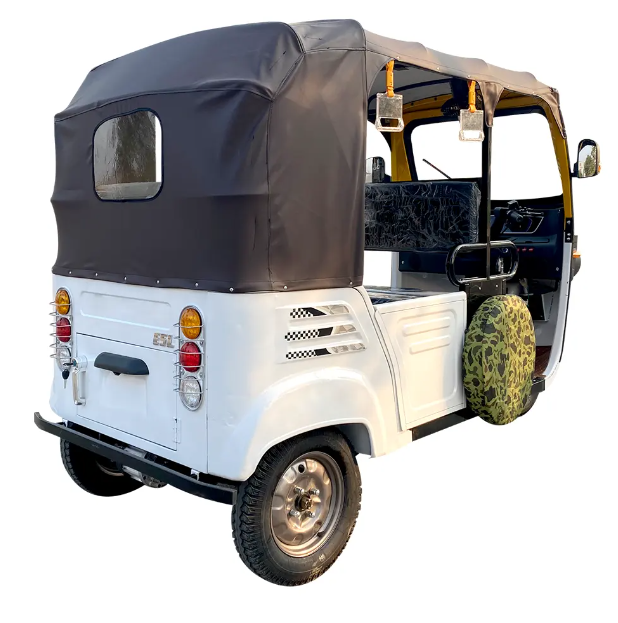 Auto Rickshaw 3 Wheel Gasoline Electric Hybrid for Daily Life for sale