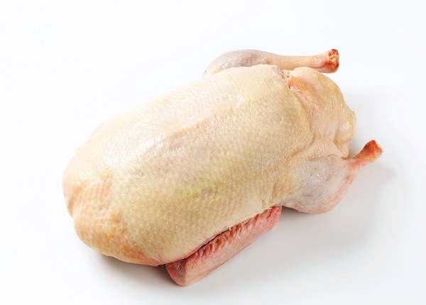 Hot Selling Frozen Whole Duck Frozen Duck Feet, frozen duck meat for export