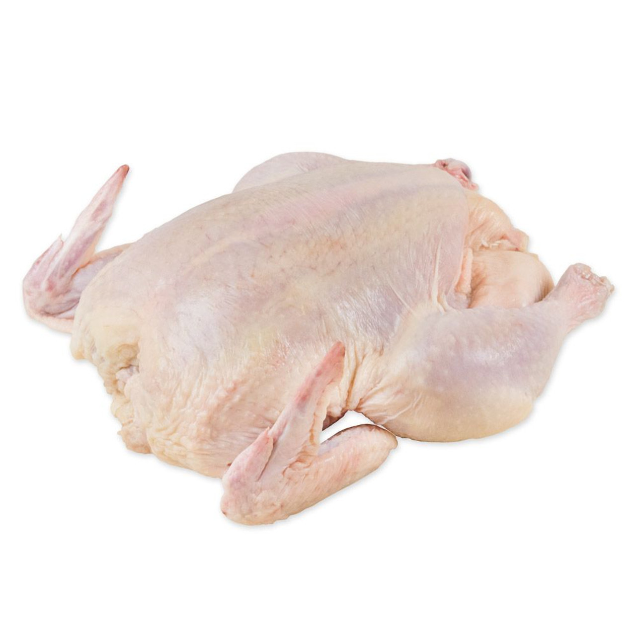 Hot Selling Frozen Whole Duck Frozen Duck Feet, frozen duck meat for export