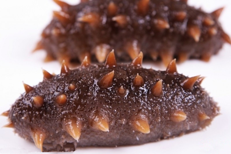 Hot Selling Dried Sea Cucumber Wholesale price Dried Sea Cucumber Buyers Europe Dried Sea Cucumber Price in Australia