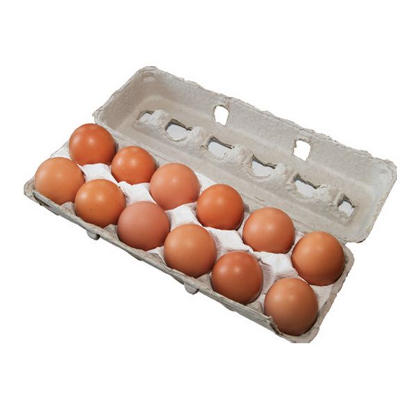 Quality fertilized Fresh Brown Table Chicken Eggs Cheap Fresh Chicken Table Eggs Fresh Chicken in Bulk