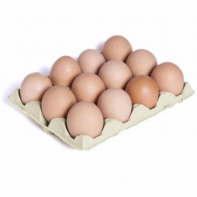 Quality fertilized Fresh Brown Table Chicken Eggs Cheap Fresh Chicken Table Eggs Fresh Chicken in Bulk