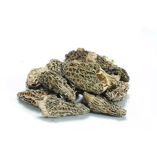 Wholesale culture mushroom high quality pleueotus ostreatus oyster mushroom fresh dried oyster shiitake Mushroom