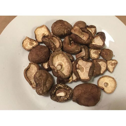 Factory Direct Sale Healthy Fresh Dried Shiitake Mushroom Native Product Nutrition Oyster Mushroom