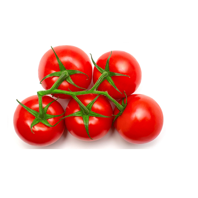 Fresh Tomatoes at Cheap price Fresh Organic Tomatoes From WHOLESALE FRESH ORGANIC TOMATO HIGH QUALITY EXPORTING STANDARD WITH