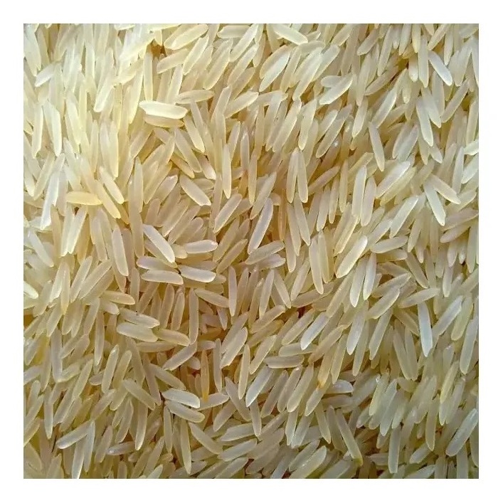 China Origin Exporter of Top Quality Wholesale Natural Hard Texture Short-Grain Broken Rice at Direct Factory Price