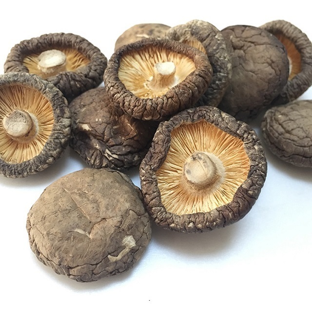 High quality dried shiitake mushroom best seller special for soup dried mini shiitake mushroom