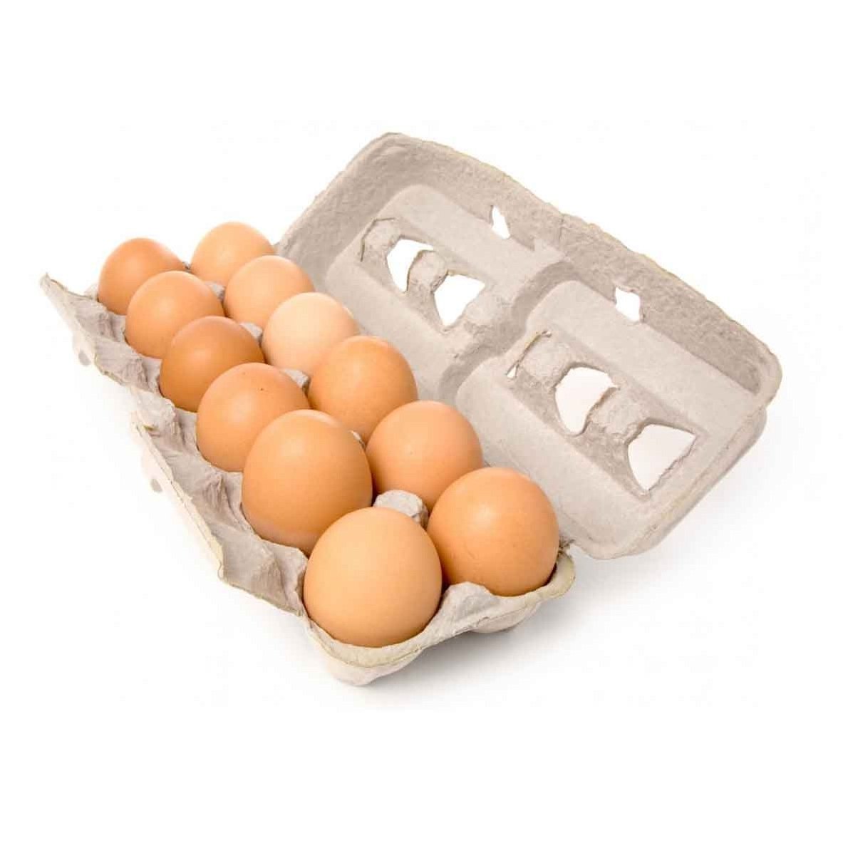 Quality fertilized Fresh Brown Table Chicken Eggs Cheap Fresh Chicken Table Eggs Fresh Chicken in Bulk