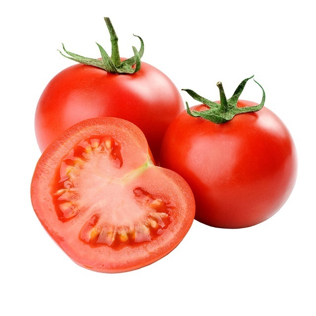 Fresh Tomatoes at Cheap price Fresh Organic Tomatoes From WHOLESALE FRESH ORGANIC TOMATO HIGH QUALITY EXPORTING STANDARD WITH