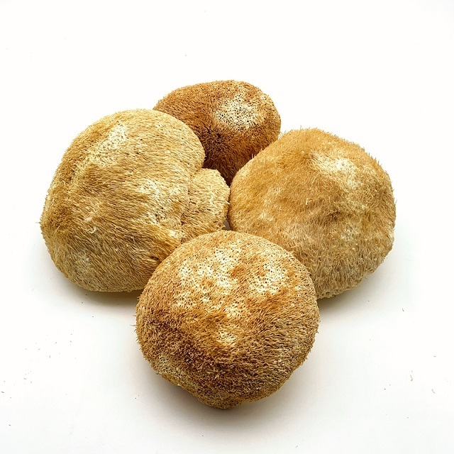 High quality dried shiitake mushroom best seller special for soup dried mini shiitake mushroom