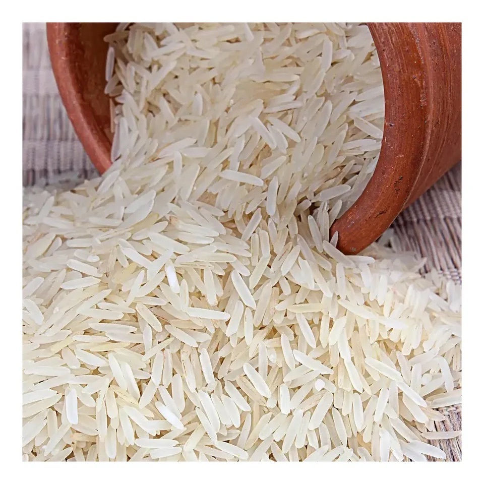 China Origin Exporter of Top Quality Wholesale Natural Hard Texture Short-Grain Broken Rice at Direct Factory Price