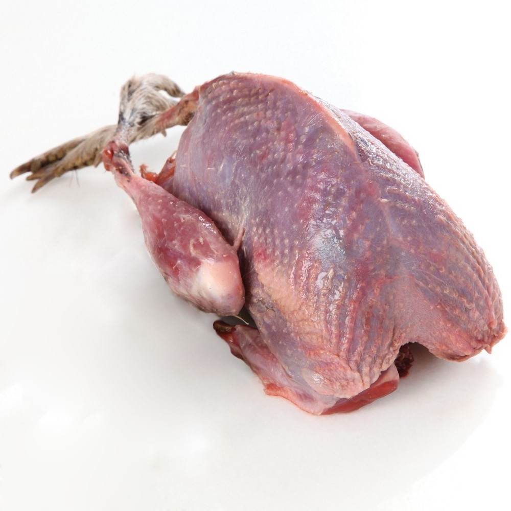 Hot Selling Frozen Whole Duck Frozen Duck Feet, frozen duck meat for export