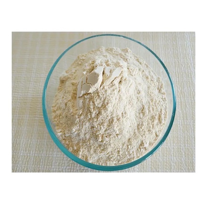 Factory Direct Selling Wheat Flour 100 NATURAL Long lasting 50 kg Bread Wheat Flour First Class Quality Product of Turkey Flour