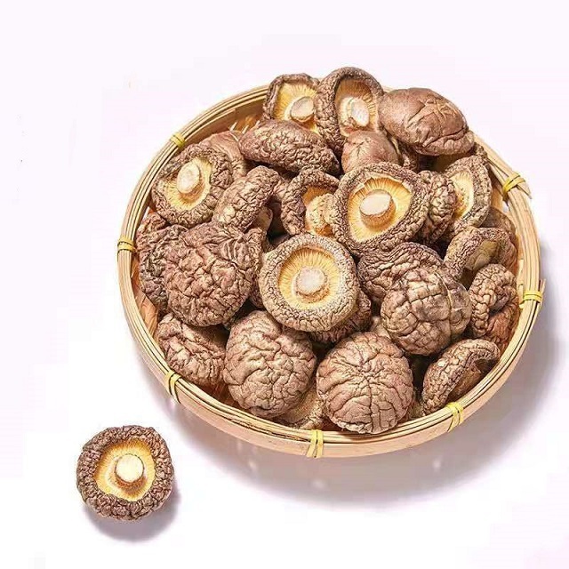 High quality dried shiitake mushroom best seller special for soup dried mini shiitake mushroom