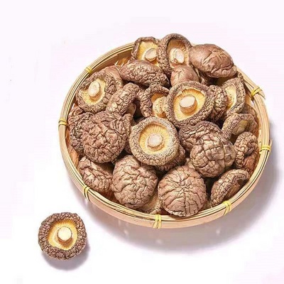 High quality dried shiitake mushroom best seller special for soup dried mini shiitake mushroom