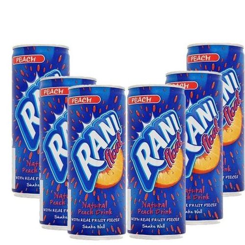 RANI PEACH/MANGO/ORANGE FLOAT JUICE 240ML X 24