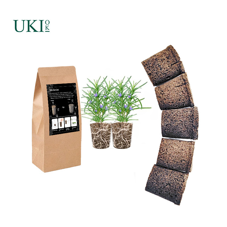 Ukiok Plant 6/12/50 Pack Seedling Starter Sponges  Kit for Hydroponic Indoor Garden System Soil