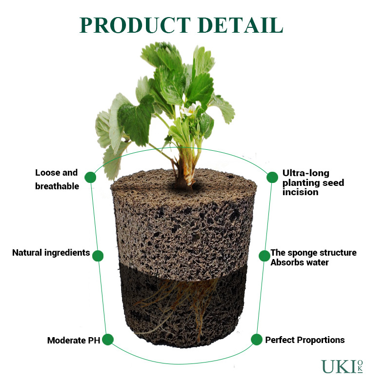 Ukiok  Refill Pods Replacement Seed Starter Root Hydroponic Growth Sponges for Indoor Garden