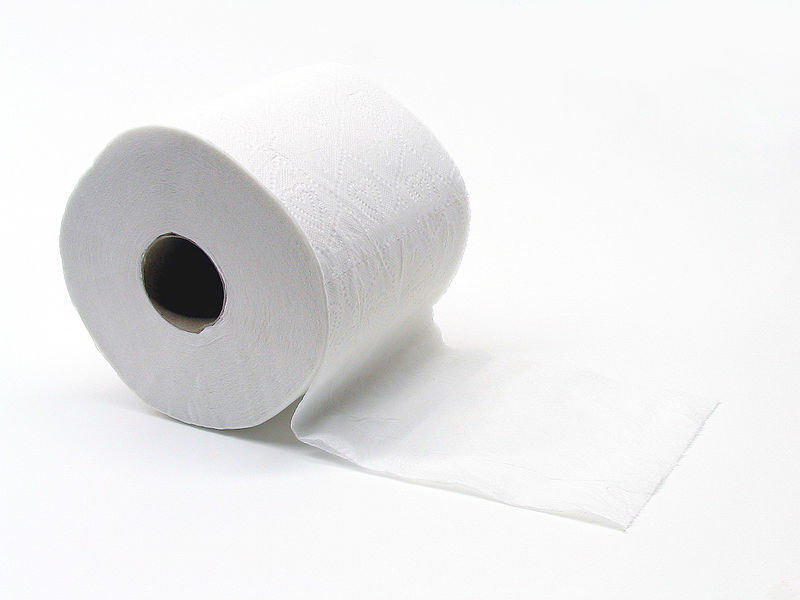 Customized 1-3 Ply Soft Toilet Tissue Paper 10 Rolls Printed Embossed Toilet Paper Hotel Wholesale White