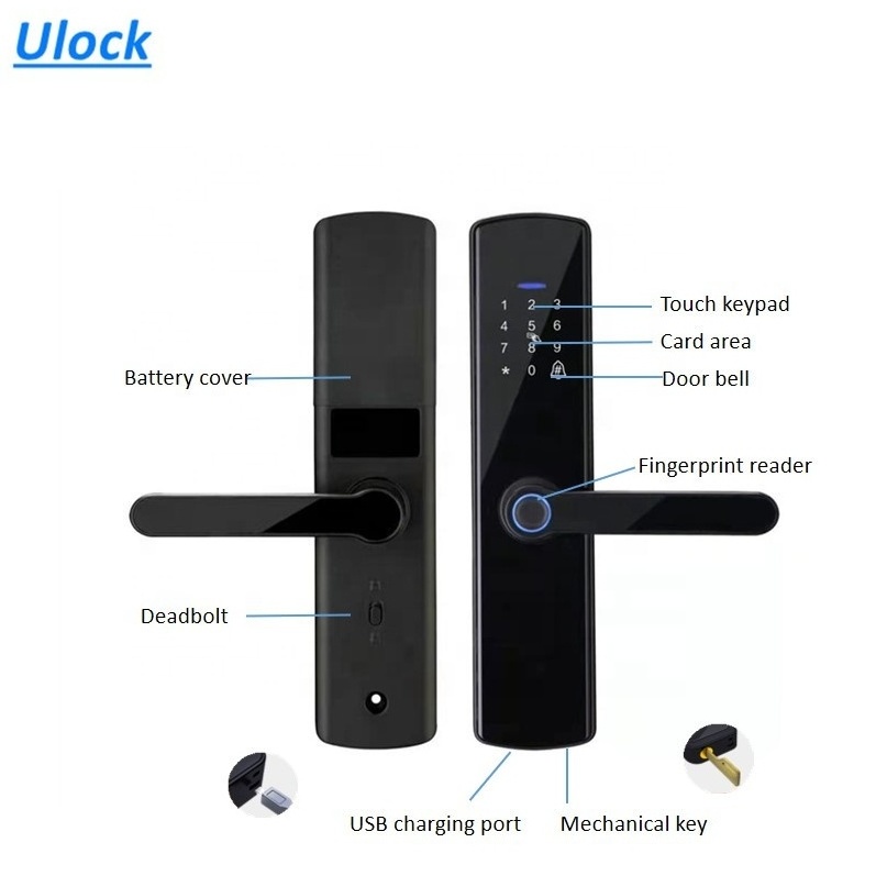 Korean Mortise Smart Tuya or TT lock APP Fingerprint Door Lock Keyless Entry